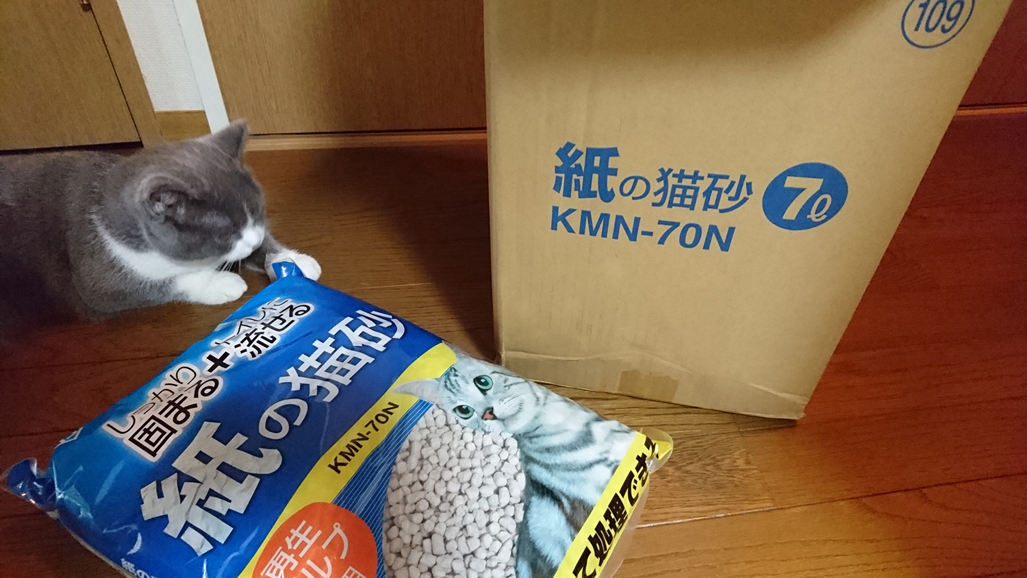 猫砂の定期便が届きました！アイリスオーヤマ 猫砂 紙の猫砂 7L×6袋入