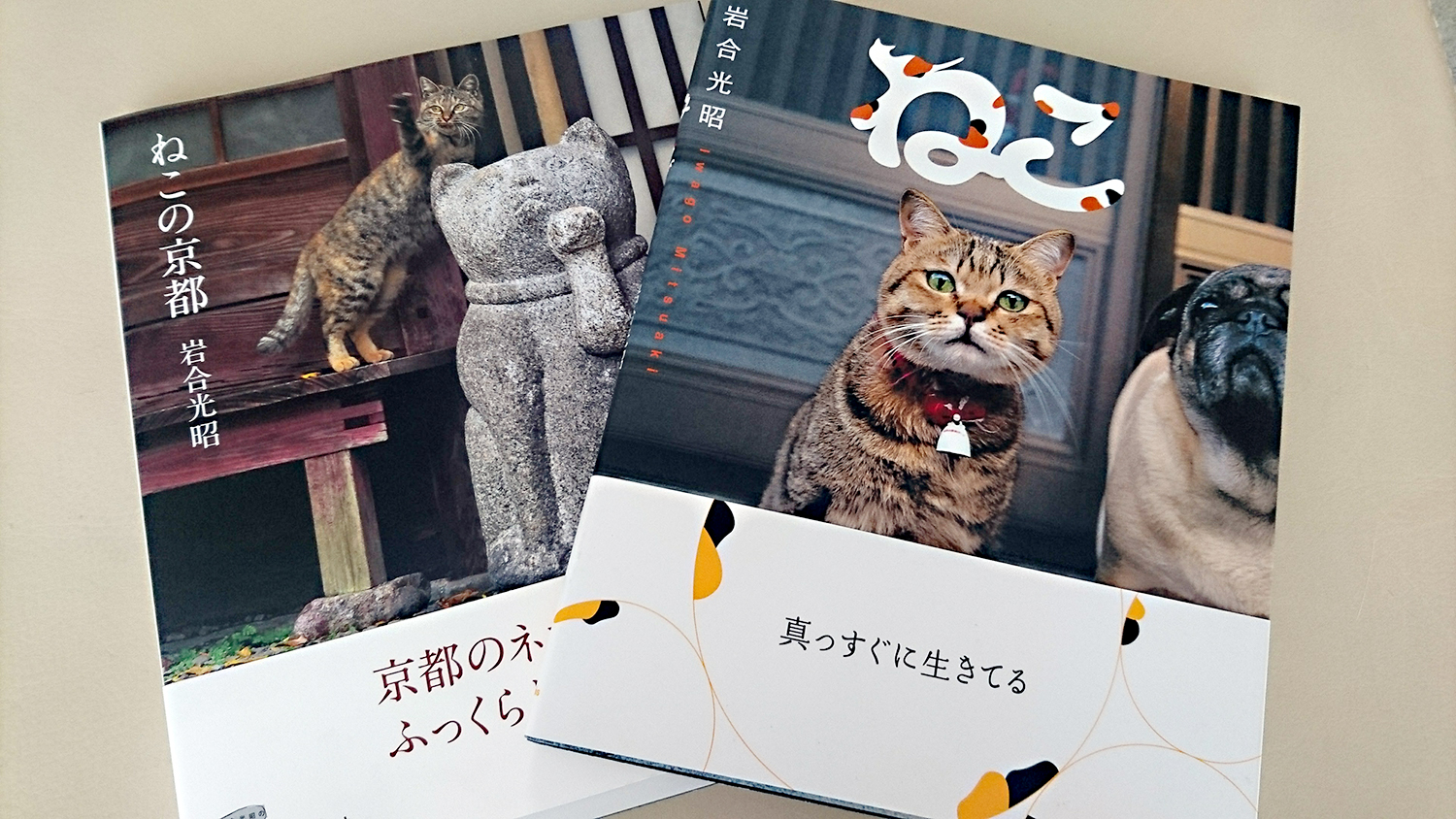 岩合光昭（世界ネコ歩き）NHK写真集「ねこ」